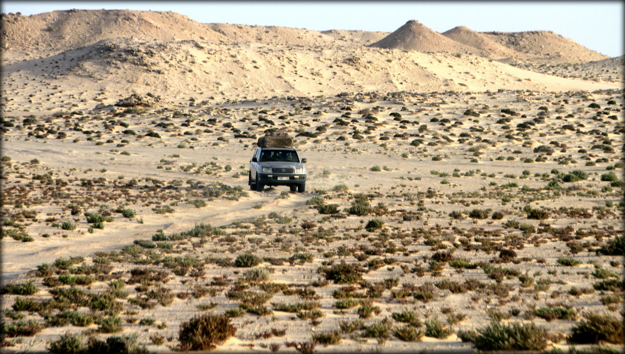 Портал в одиночество или дюна по имени Blanche Дахла, Западная Сахара