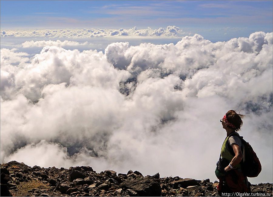 На какое-то мгновение облака расступились, открыв нам еще одно филиппинское чудо — вулкан Майон, показавшийся вдали лишь черной точкой Булусан, Филиппины На какое-то мгновение облака расступились, открыв нам еще одно филиппинское чудо — вулкан Майон, показавшийся вдали лишь черной точкой Булусан, Филиппины