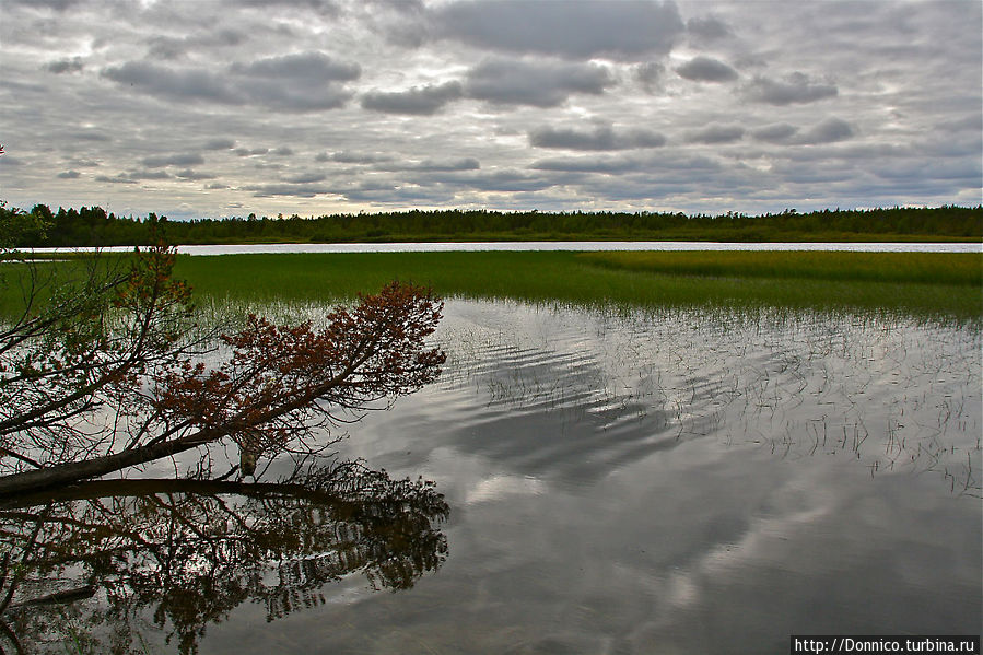 чтобы наконец увидеть потрясающе красивый вид на реку Паз, наверное лучший из всех пока чтобы наконец увидеть потрясающе красивый вид на реку Паз, наверное лучший из всех пока