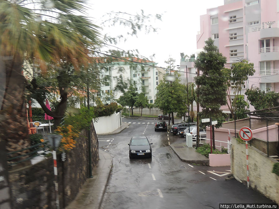 Плачущий Фуншал. Фуншал, Португалия Плачущий Фуншал. Фуншал, Португалия