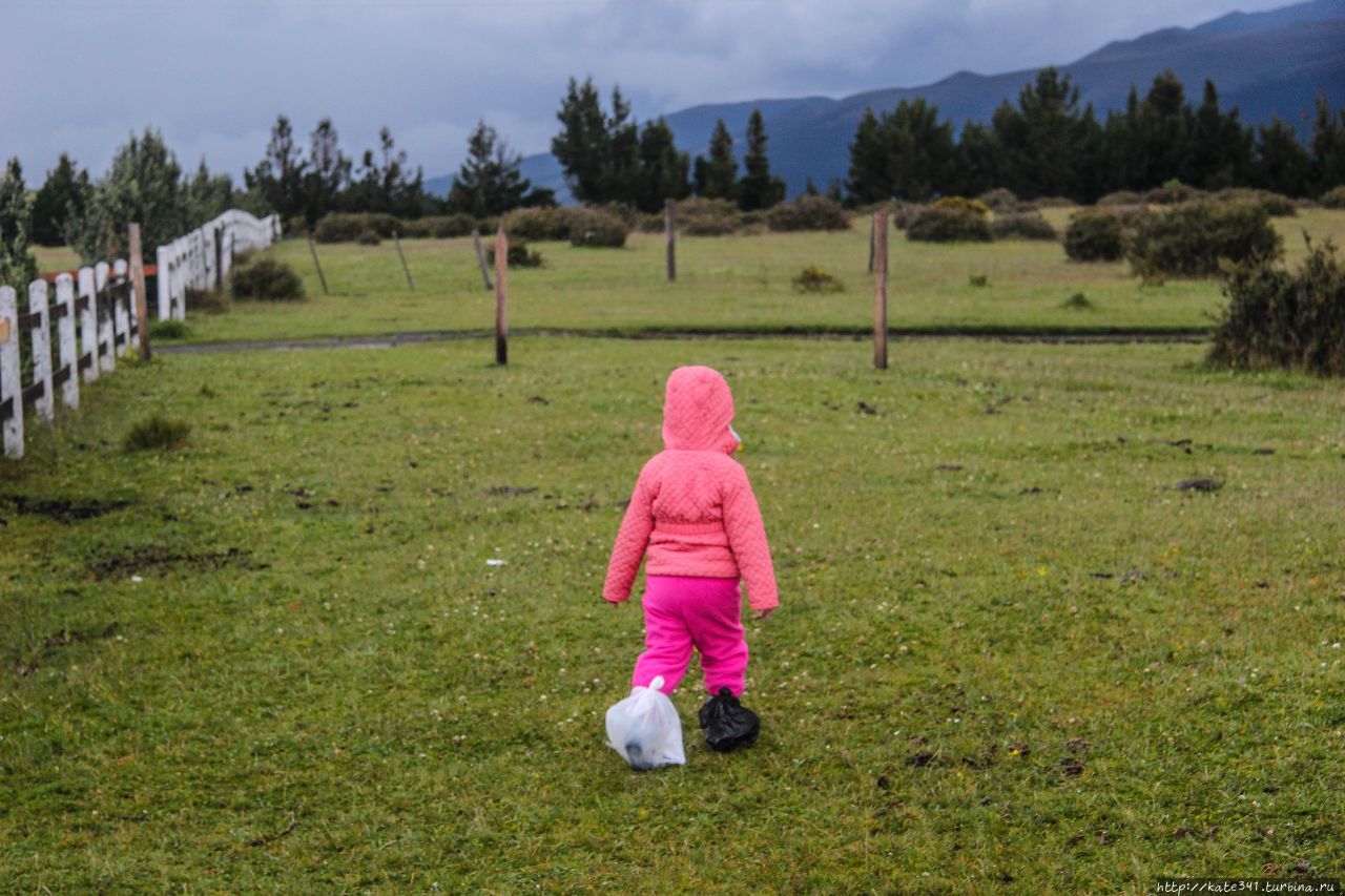 Эквадор с трехлеткой. Часть 1. Котопакси Котопакси Национальный Парк, Эквадор