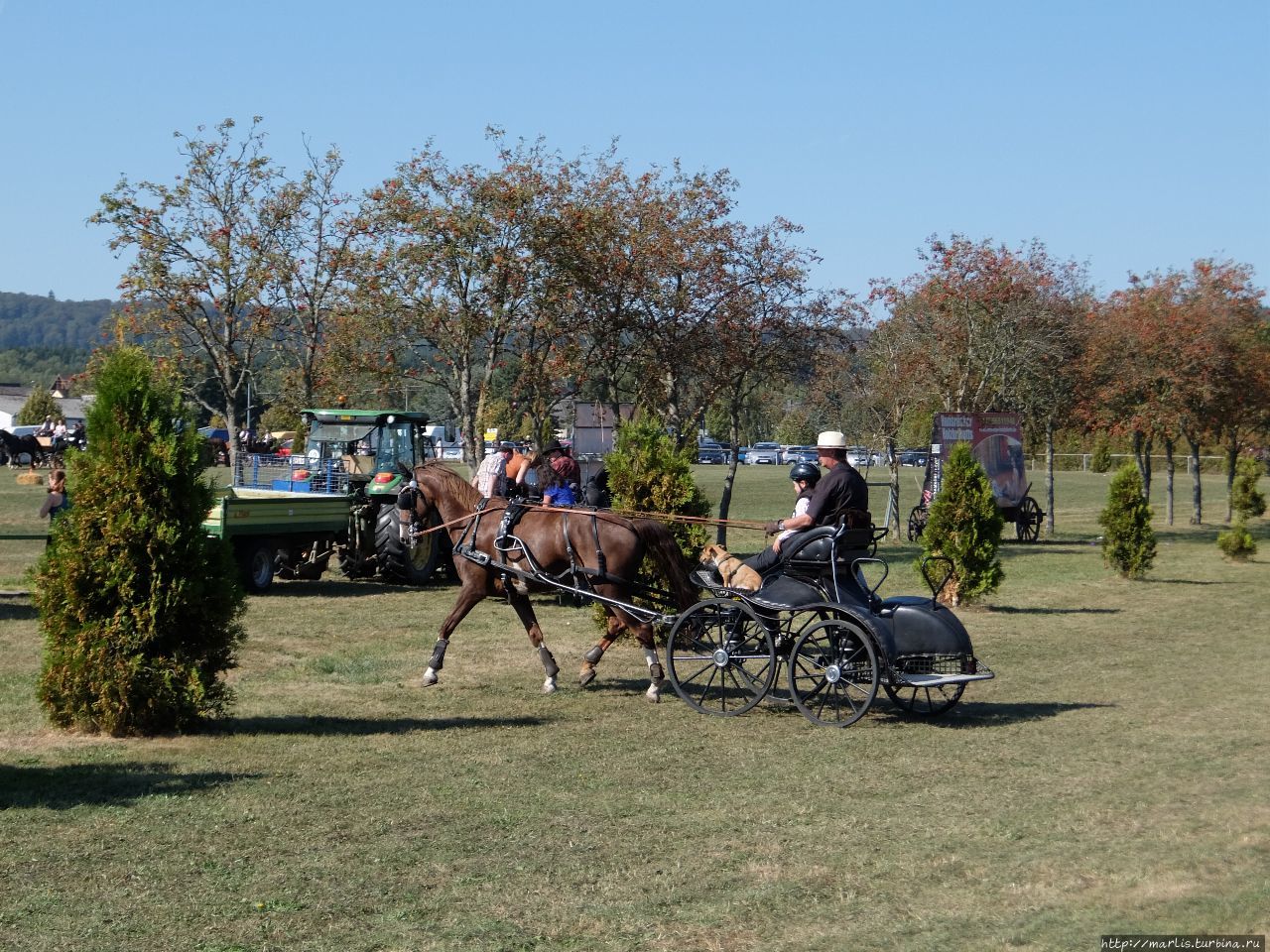 Баба з возу — кобыле легше Фишбах, Германия Баба з возу — кобыле легше Фишбах, Германия