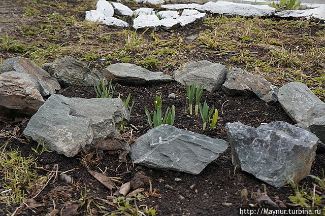 У природы нет плохой погоды Южно-Сахалинск, Россия У природы нет плохой погоды Южно-Сахалинск, Россия