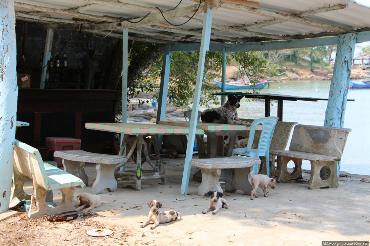 Жизнь на пониженной  передаче, или как поймать саргана в Тае Районг, Таиланд