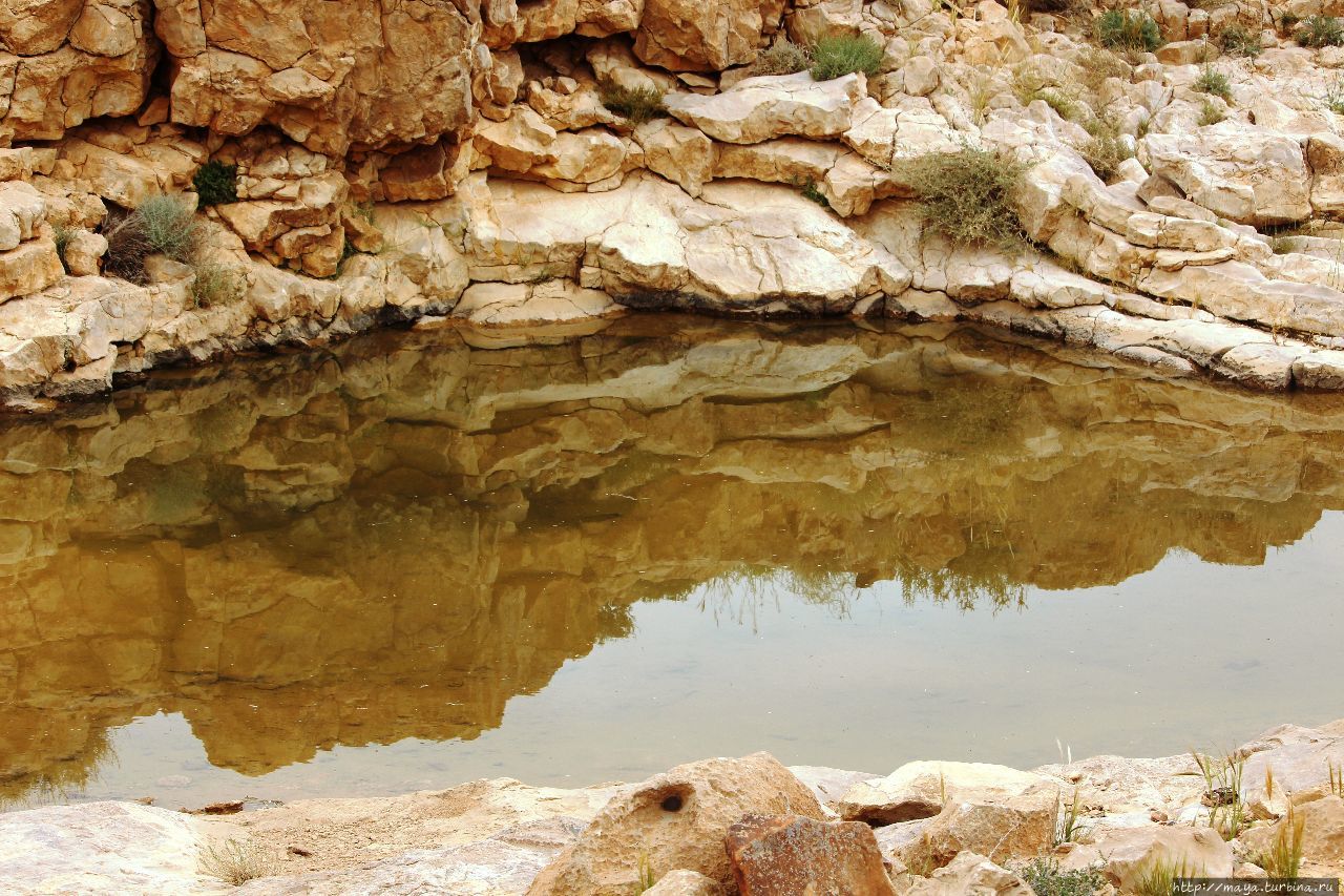 История с географией и  гора Карком Мицпе-Рамон, Израиль