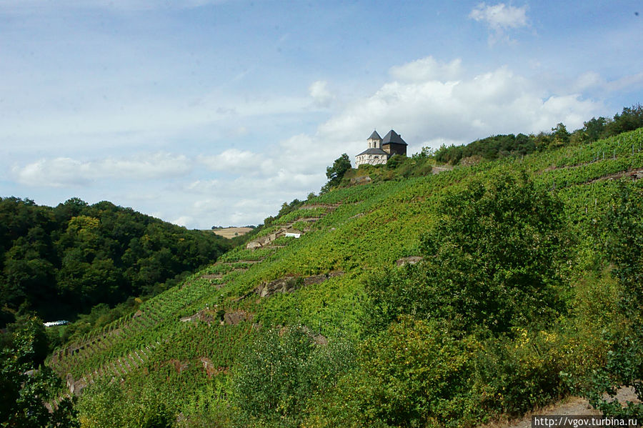 Прогулка по горкам среди виноградников Коберн-Гондорф, Германия
