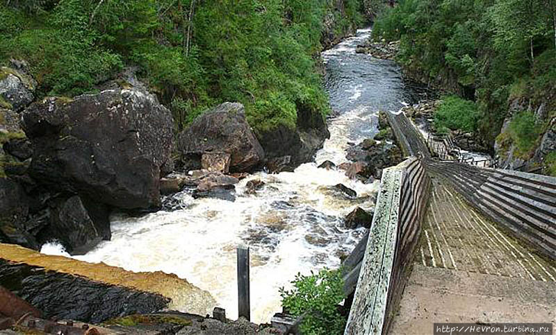 фото из интернета фото из интернета