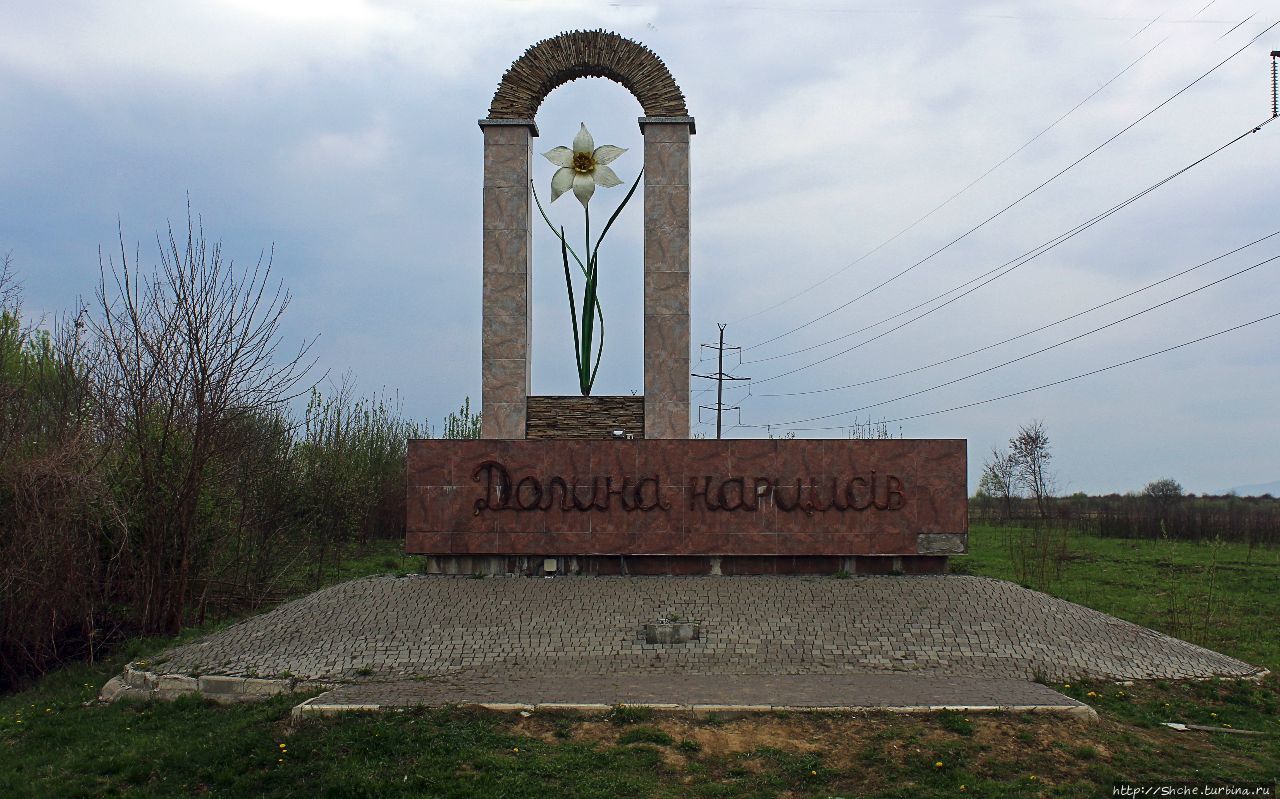 Долина нарциссов Карпатский биосферный заповедник, Украина