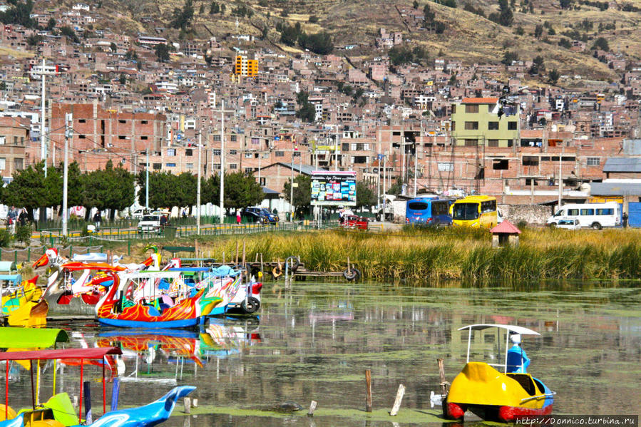 ПриКЛЮЧение в Пуно. Перуанский Гагарин Пуно, Перу