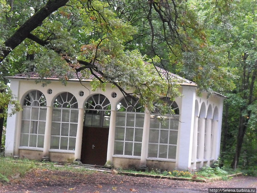 Осенняя прогулка по Пушкину Пушкин, Россия Осенняя прогулка по Пушкину Пушкин, Россия