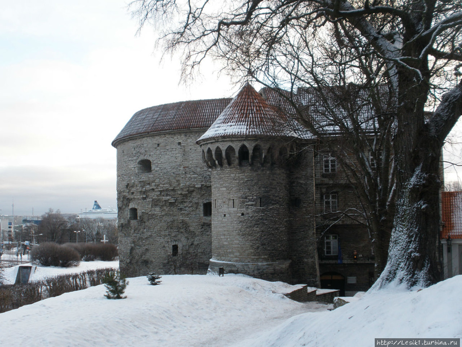 Таллин. Путешествие в средневековье и обратно. Продолжение Таллин, Эстония
