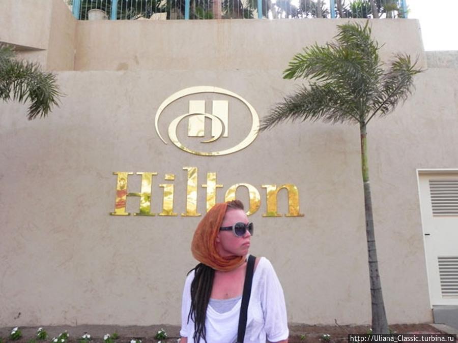 Hilton Queen of Sheba