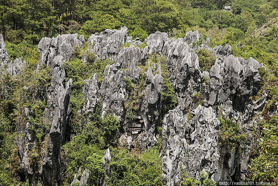 Скалы с подвесными гробами на них — старая традиция захоронения у местных племен и одна из тур. достопримечательностей сегодня Сагада, Филиппины
