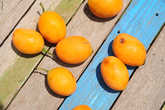 Марианская слива или Гандария (marian plum) достаточно плотная кожура, цвет абрикосовый, форма и консистенция сливы. Вкус манго у косточки, абрикоса. Вкусная с хрустящей шкуркой и очень сочная.