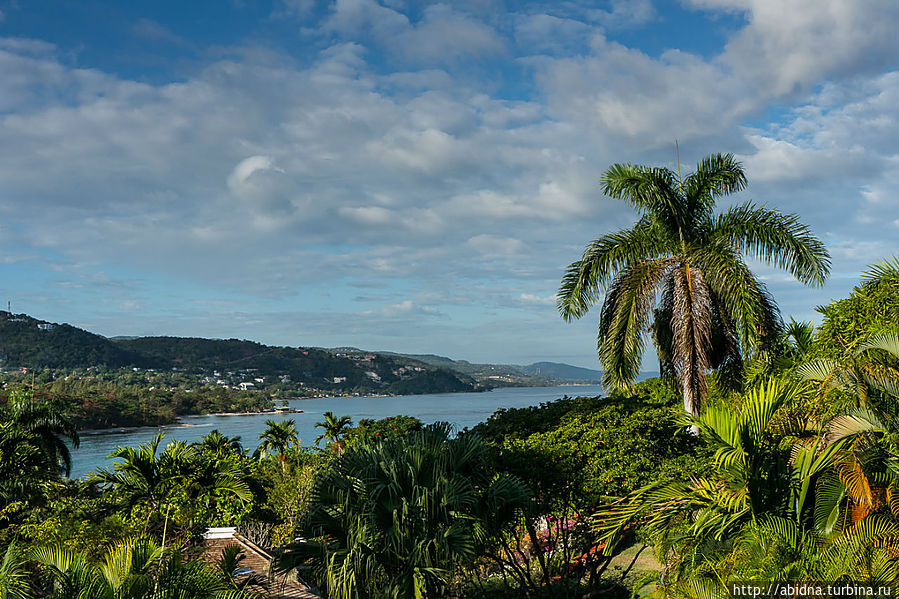 Утро! Солнце! Новый день! Утро! Солнце! Новый день!