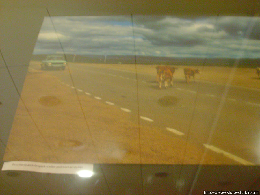 Прогулка по осеннему Люблину Люблин, Польша Прогулка по осеннему Люблину Люблин, Польша