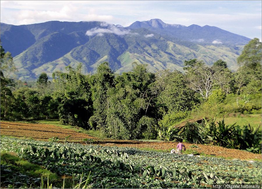 В окрестностях Малайбалая В окрестностях Малайбалая