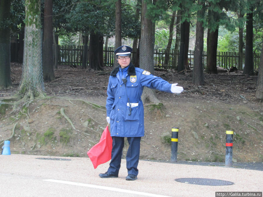 Регулировщик в парке. Нара. Япония
