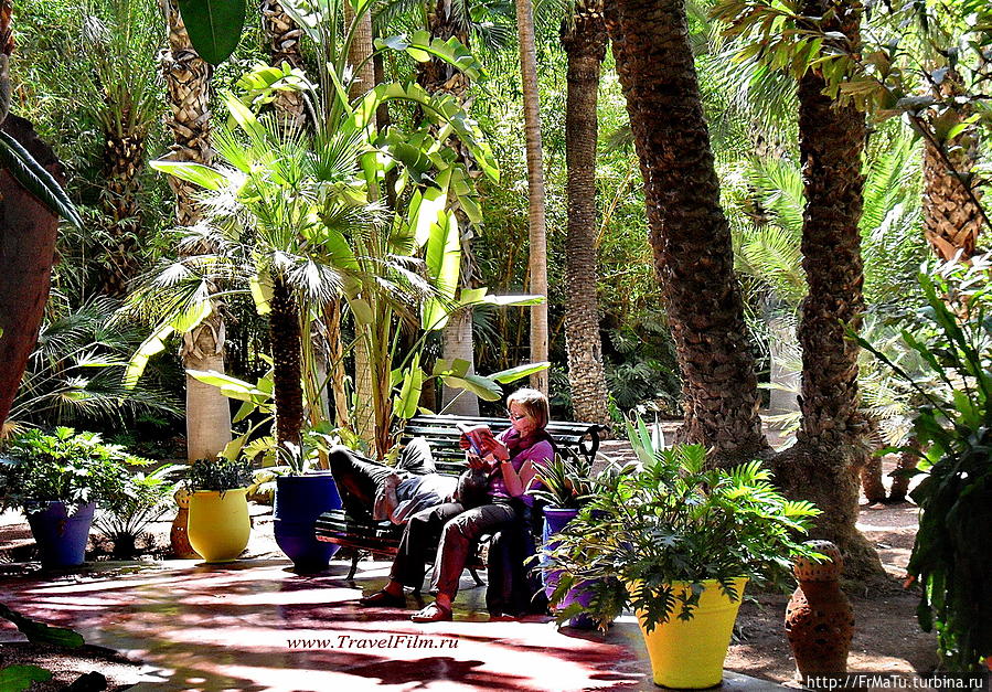 Марокко — сад Мажорель Марракеш, Марокко