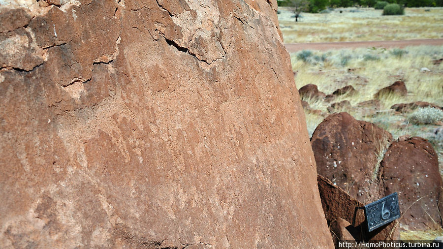 Тропой человека-льва Область Кунене, Намибия