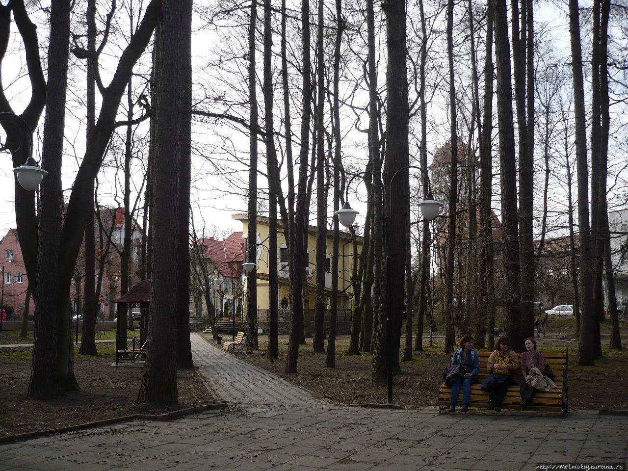 Лиственничный парк Светлогорск, Россия