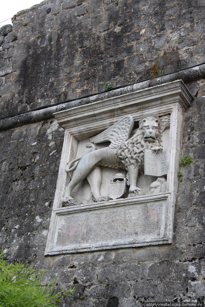 Старый Котор — всемирное наследие ЮНЕСКО. Котор, Черногория Старый Котор — всемирное наследие ЮНЕСКО. Котор, Черногория