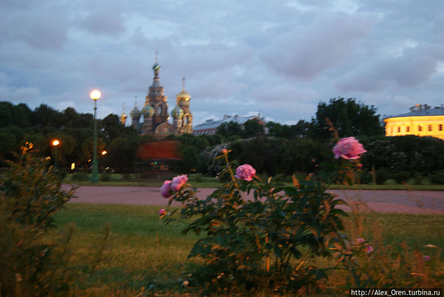 В Петербурге в июне 2013 Санкт-Петербург, Россия