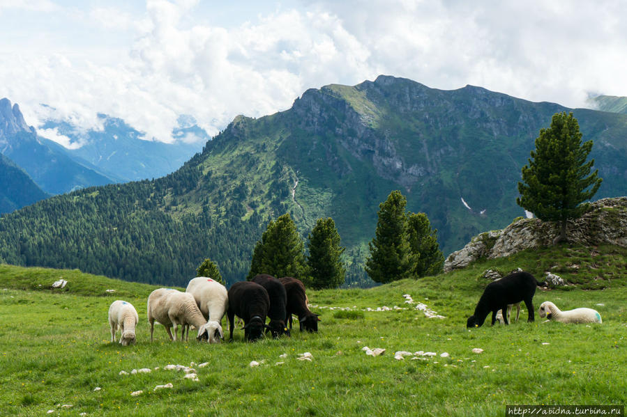 Доломитовые Альпы летом. День 4 Валь-ди-Фасса, Италия Доломитовые Альпы летом. День 4 Валь-ди-Фасса, Италия