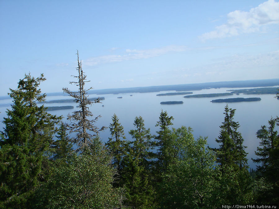 Сверкающая гладь озера Пиелинен Коли Национальный Парк, Финляндия