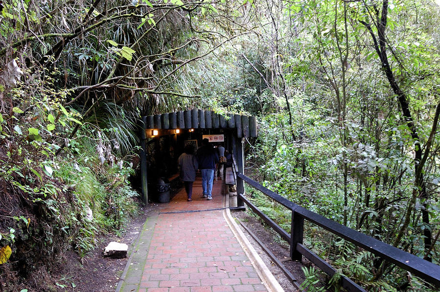 У входа в пещеру светлячков Ваитомо Роторуа, Новая Зеландия