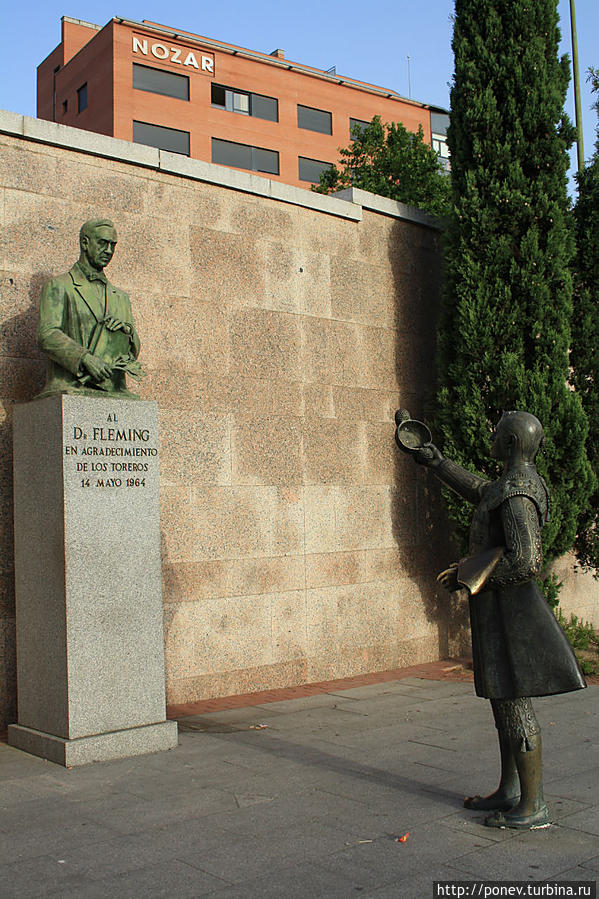Памятник сэру Александру Флемингу, английскому ученому, открывшему в 1929 году первый антибиотик пенициллин. Он получил за это Нобелевскую премию и безграничную благодарность многих матадоров Испании, которые благодаря пенициллину были спасены от неизбежного заражения крови. Мадрид, Испания