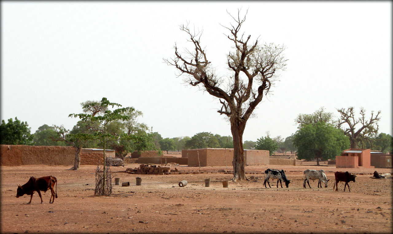 Дорожные зарисовки — Мали Конобугу, Мали