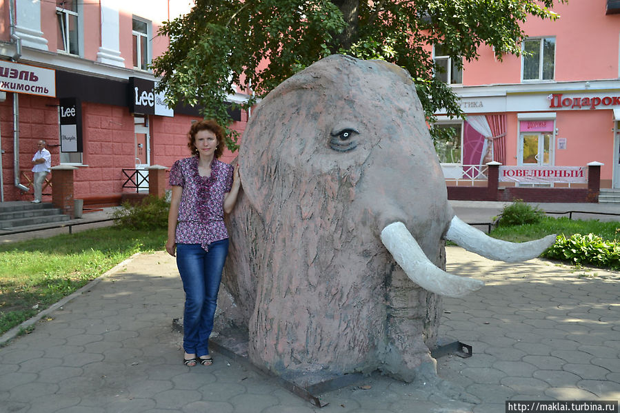 Встречаются здесь и доисторические животные. Барнаул, Россия