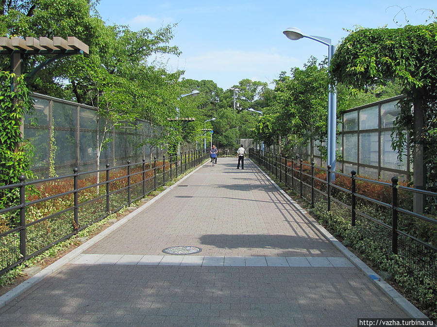 Дорожка к зоопарку Осака, Япония