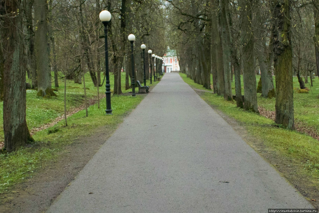 2015 пролетел незаметно Санкт-Петербург, Россия 2015 пролетел незаметно Санкт-Петербург, Россия