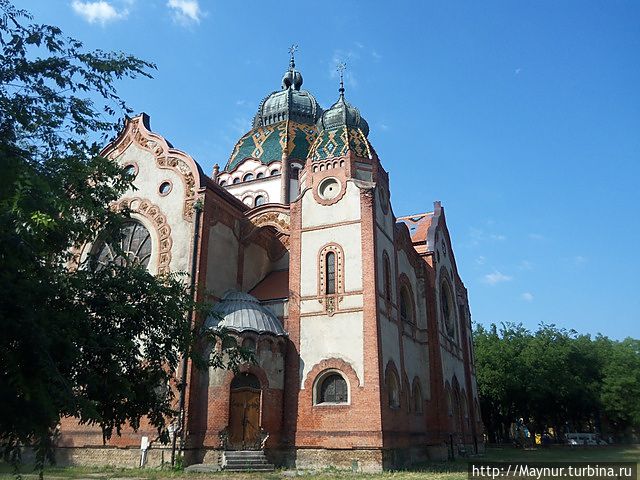 Русские в Сербии Сербия