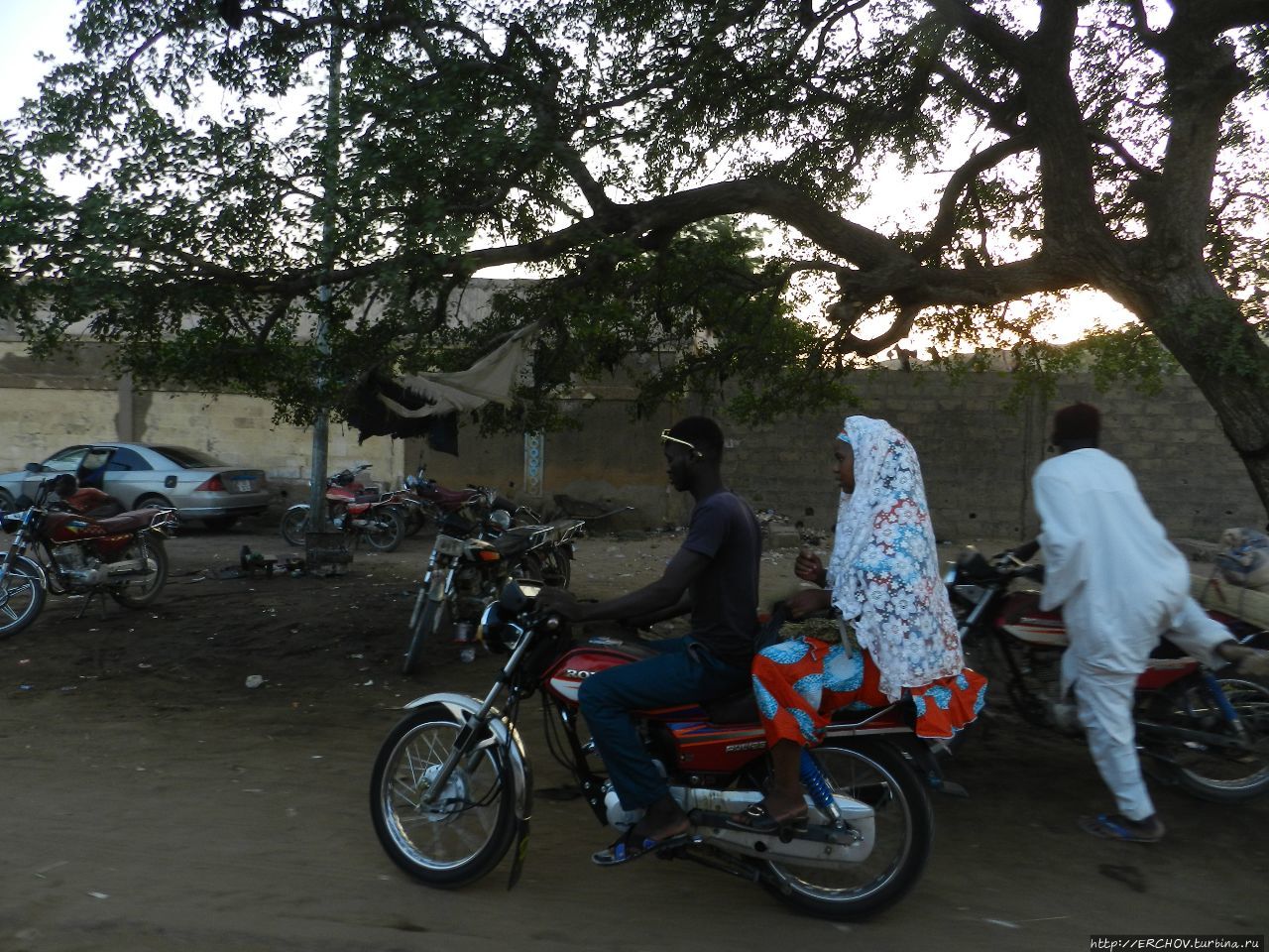 Нигер. Ч — 25. Скотоводческий рынок Зиндер, Нигер