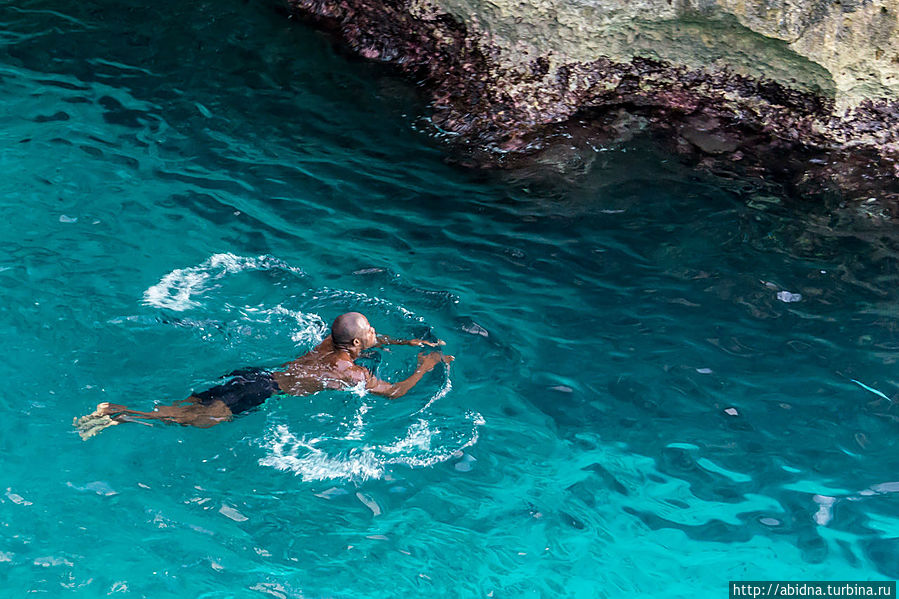 И вот он уже в воде! И вот он уже в воде!