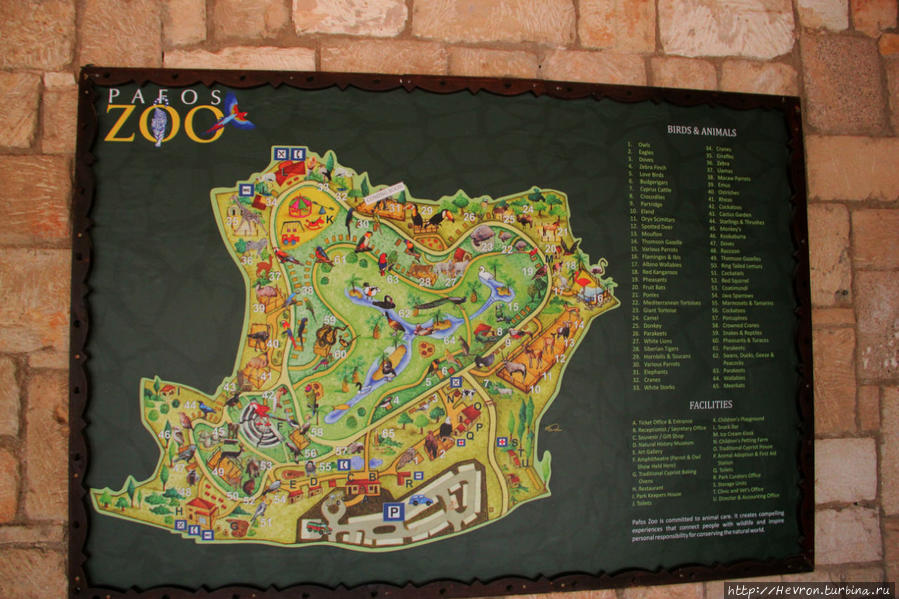 Зоопарк Пафоса / Pafos Zoo