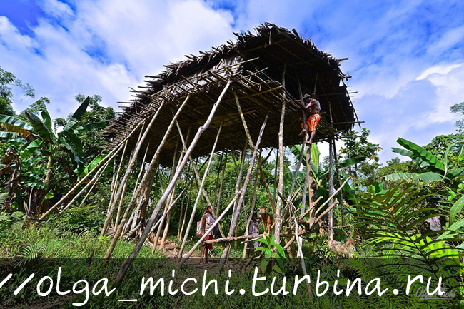 Про Шангри-Ла, Новую Гвинею и смысл жизни. Часть 4 Папуа, Индонезия