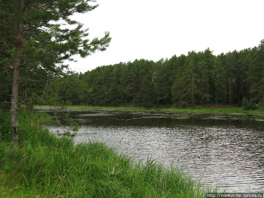 Река Шелепиха при впадении в пруд Белая Холуница, Россия