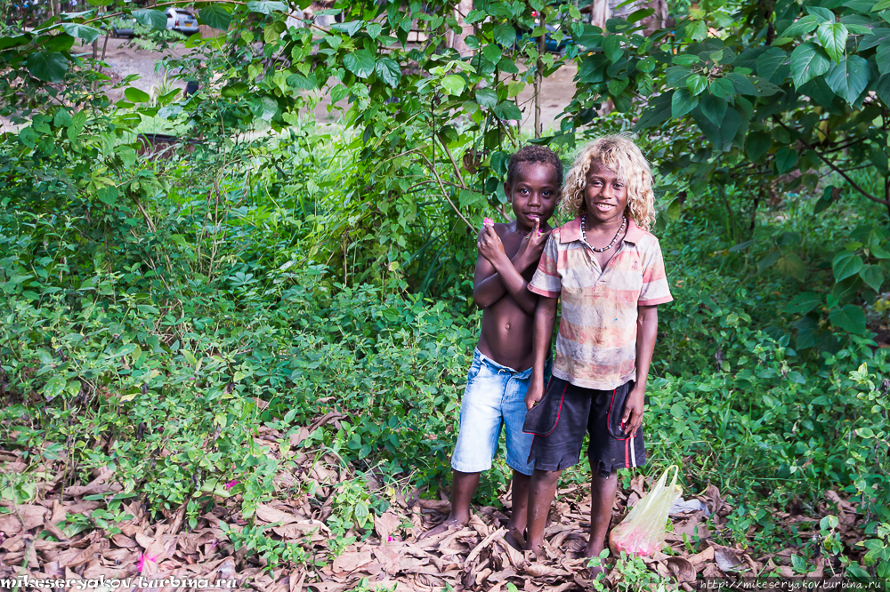 Соломоновские блондины Соломоновы острова