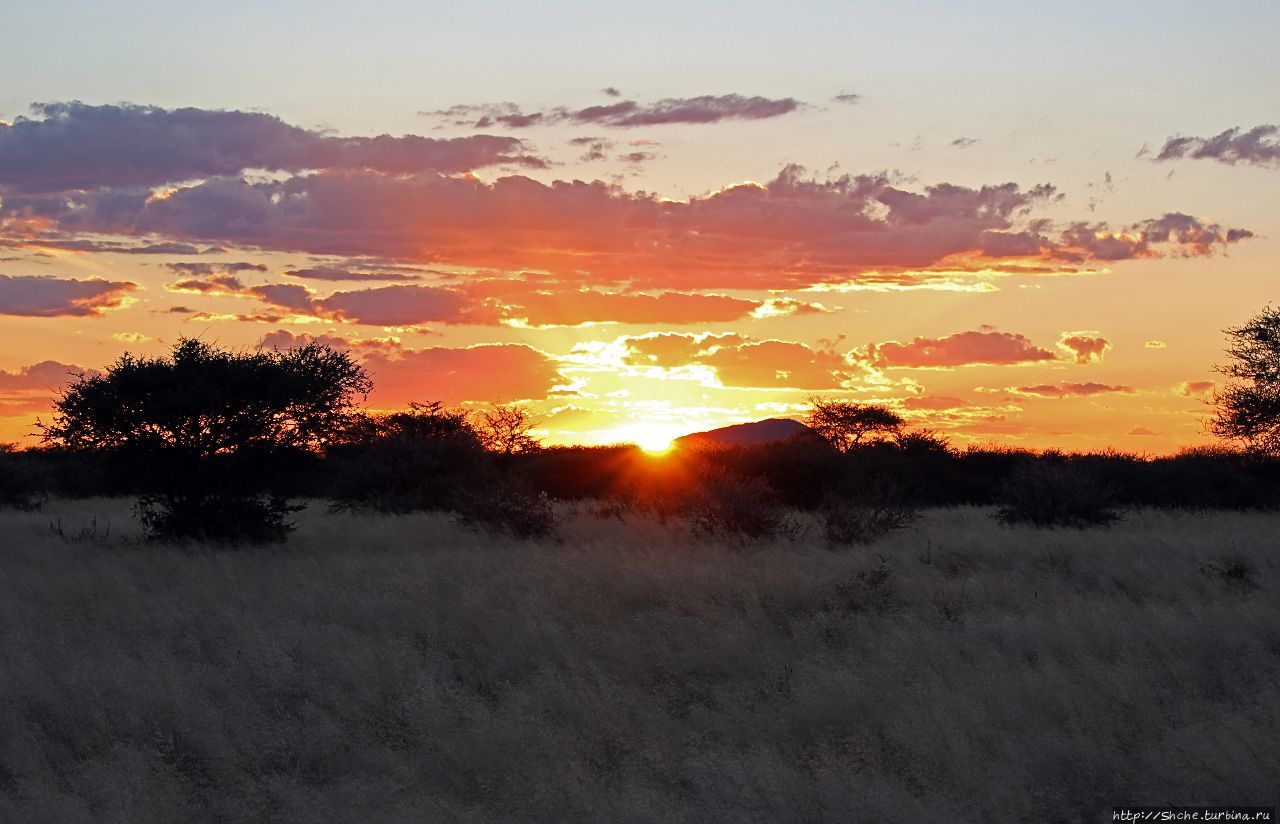 Очередной, и как всегда незабываемый Эринди-Прайвет-Гейм заповедник, Намибия