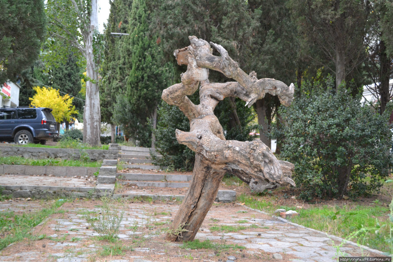 Прогулка по Приморскому парку Алушта, Россия