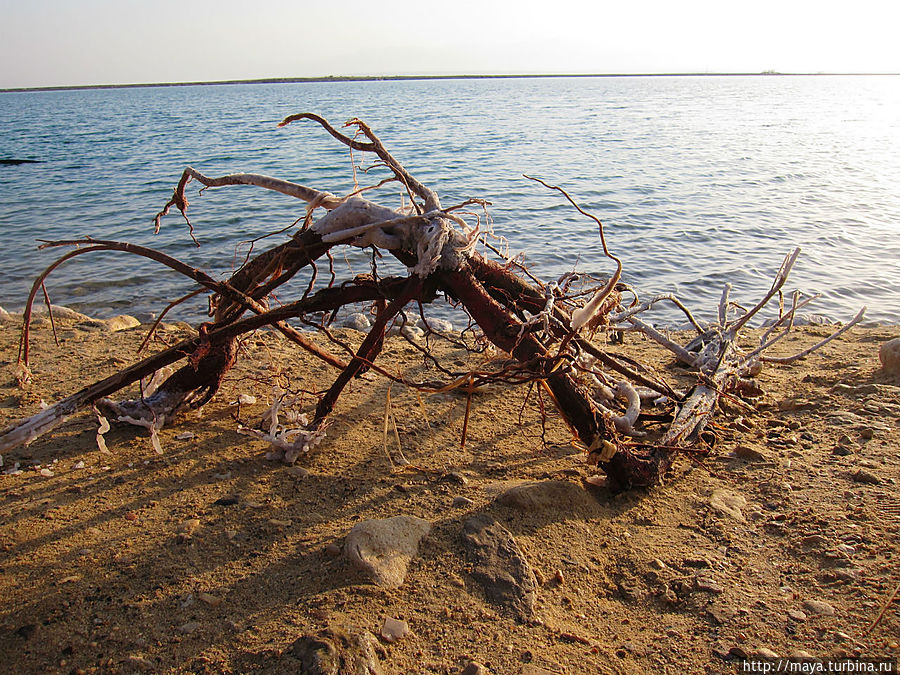 Где мое ваше море? Где мое ваше море?