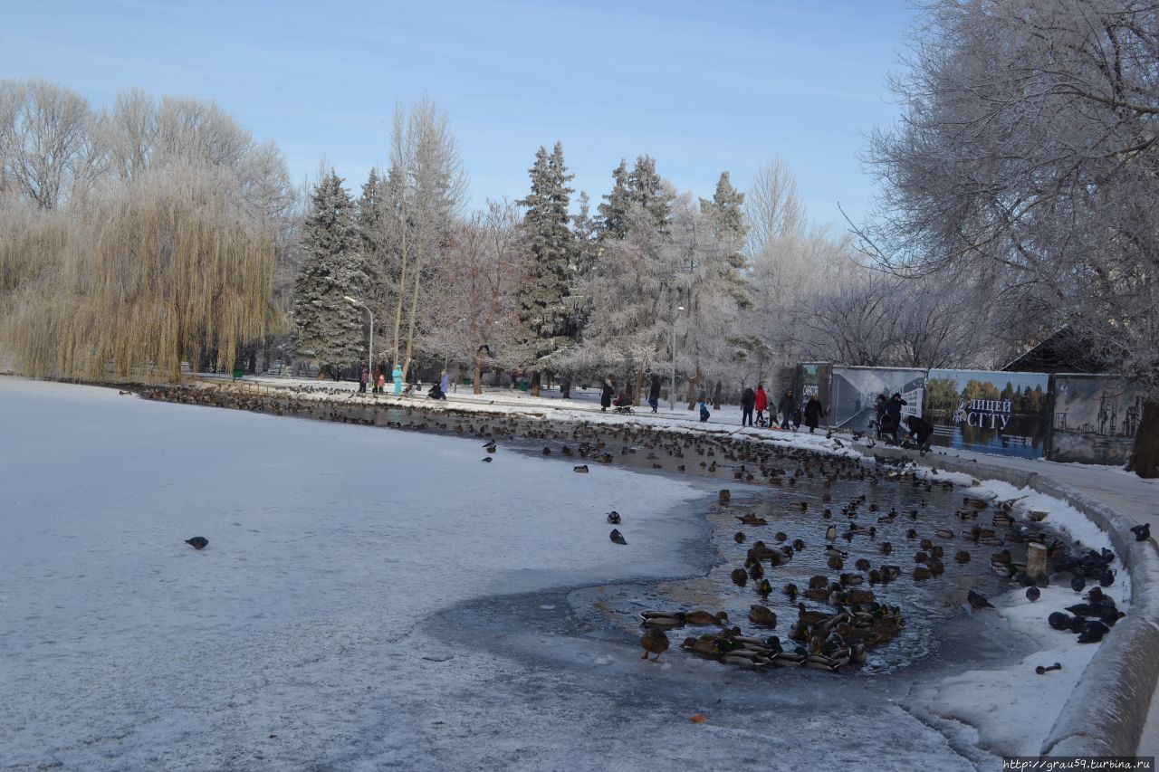 Городской парк культуры и отдыха 