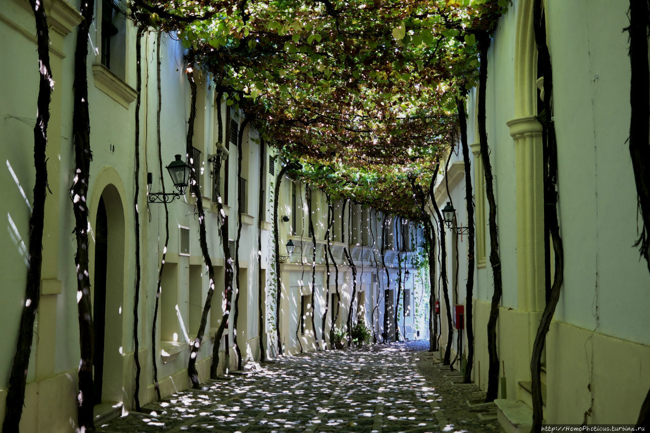 Испания, Херес, день, выд Испания, Херес, день, выд