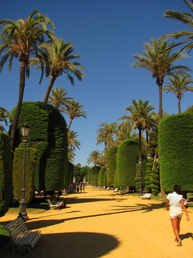 В парке Хеновес Кадис, Испания