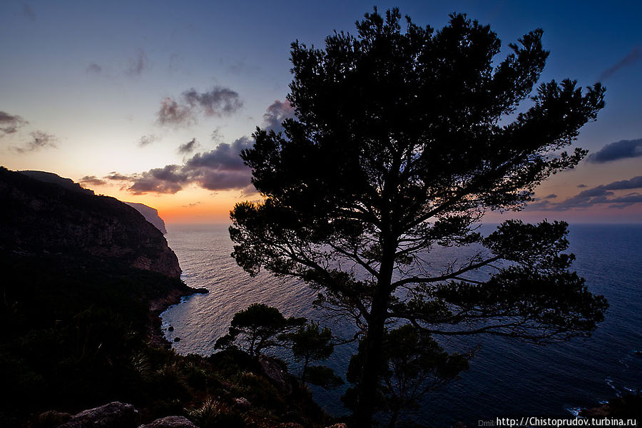 Суровые северные пейзажи острова. Остров Майорка, Испания