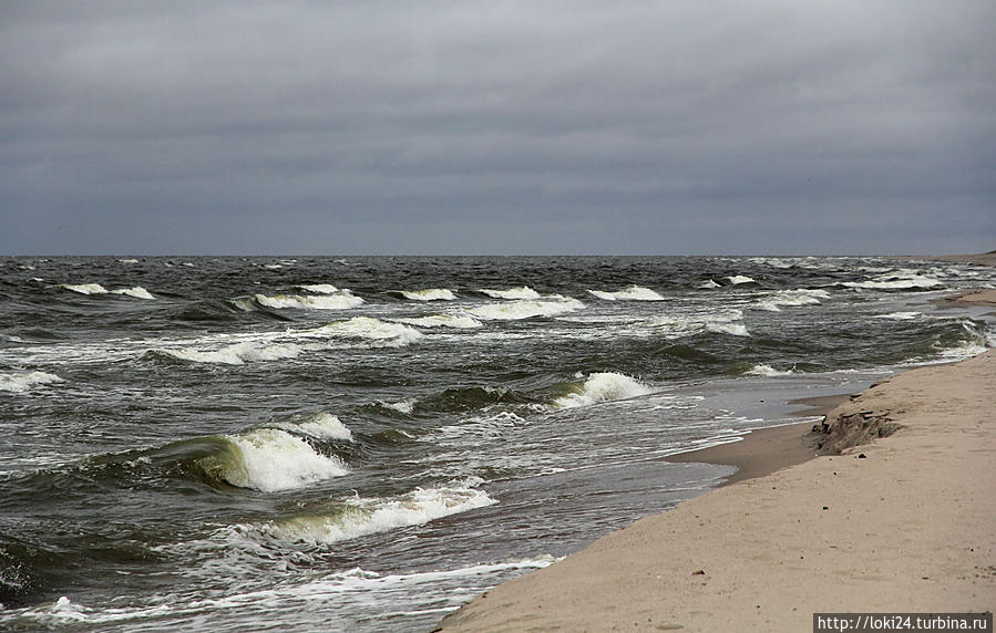 Балтийское море Калининградская область, Россия